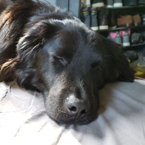 Meet your Posher, Christian